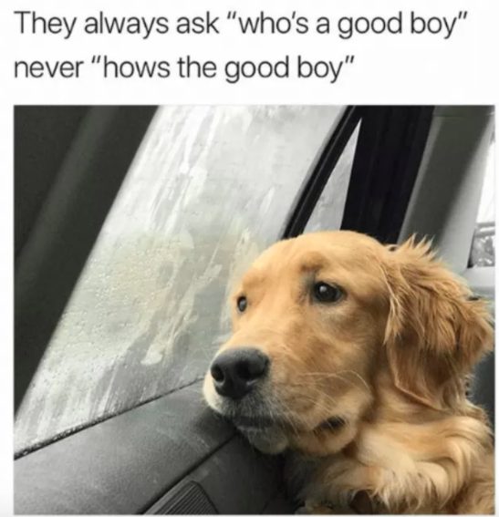 goodboy1.png