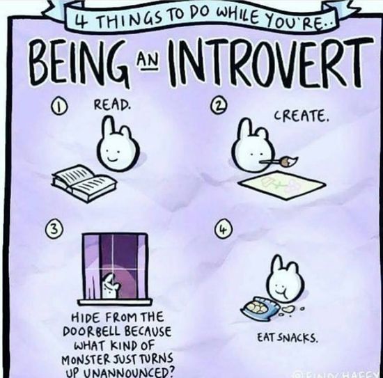 introvert1.jpg