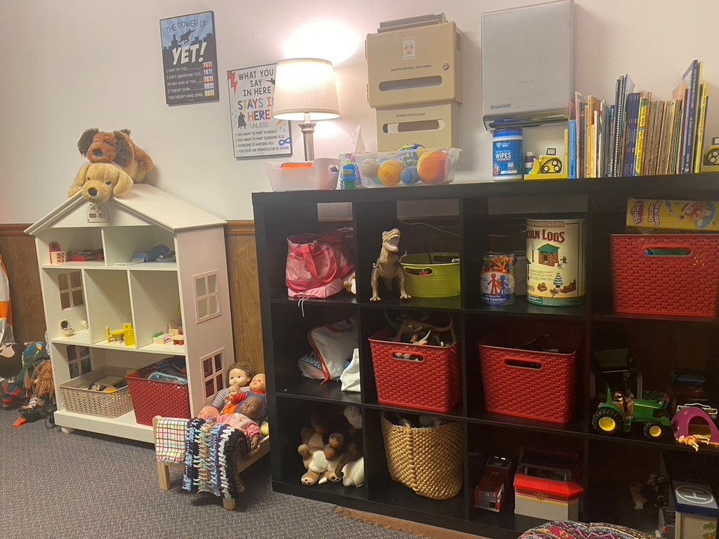 A carpeted room with shelves full of books and toys